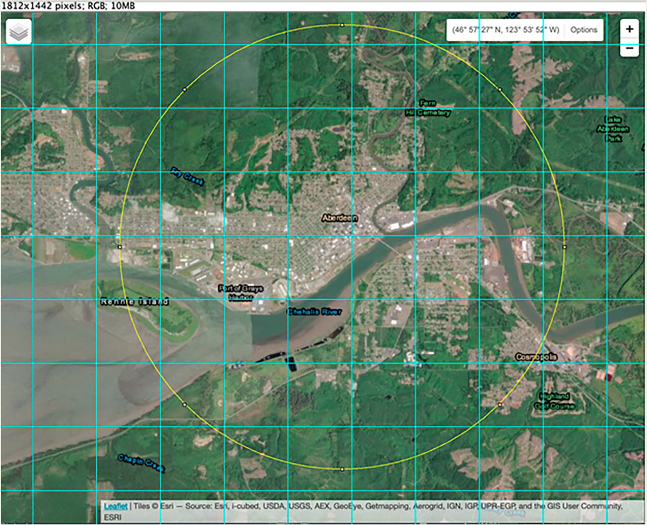 Figure 1 Sample city with grid overlay and centered circle drawn in ImageJ.