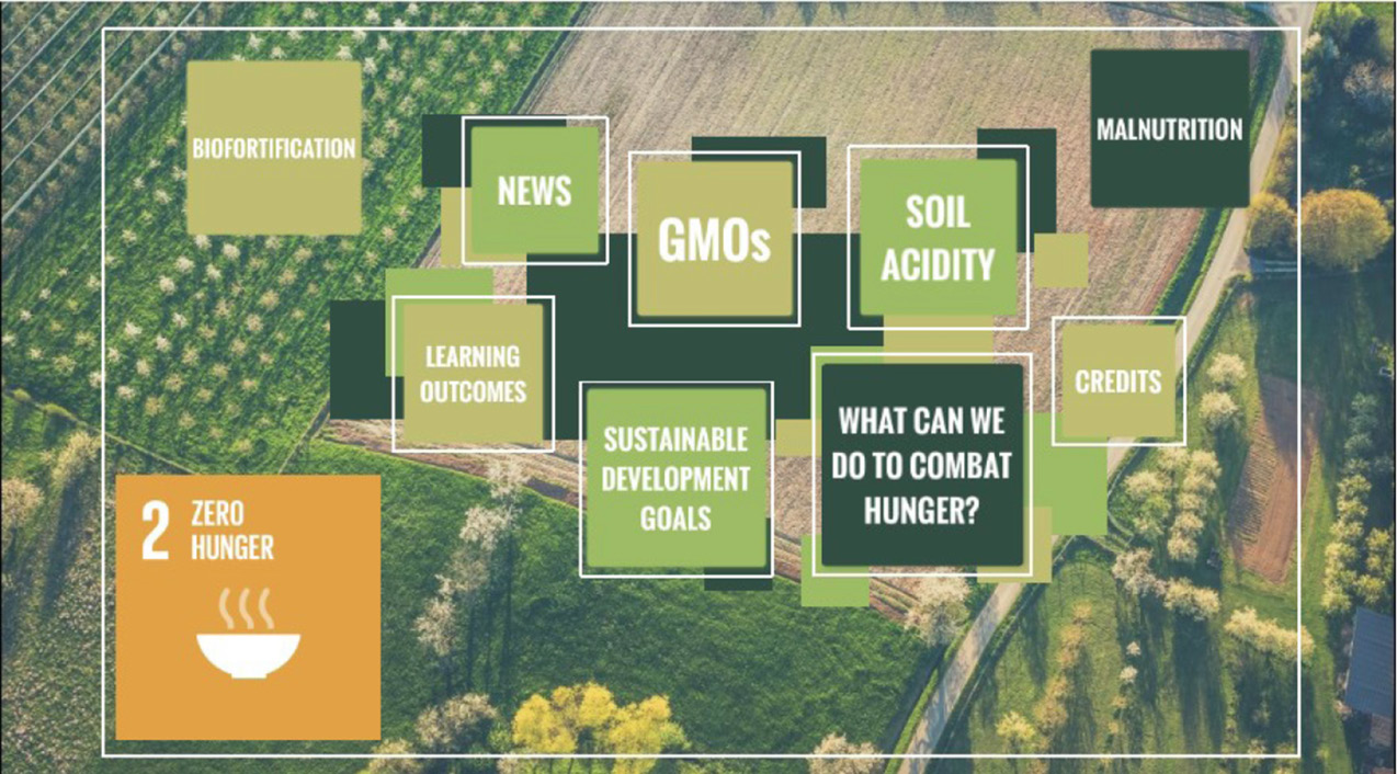 Figure 1 The first slide of the Prezi learning module for SDG #2, Zero Hunger.