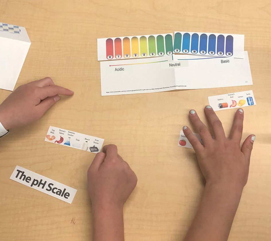 Figure 1  Students assemble a pH scale puzzle.