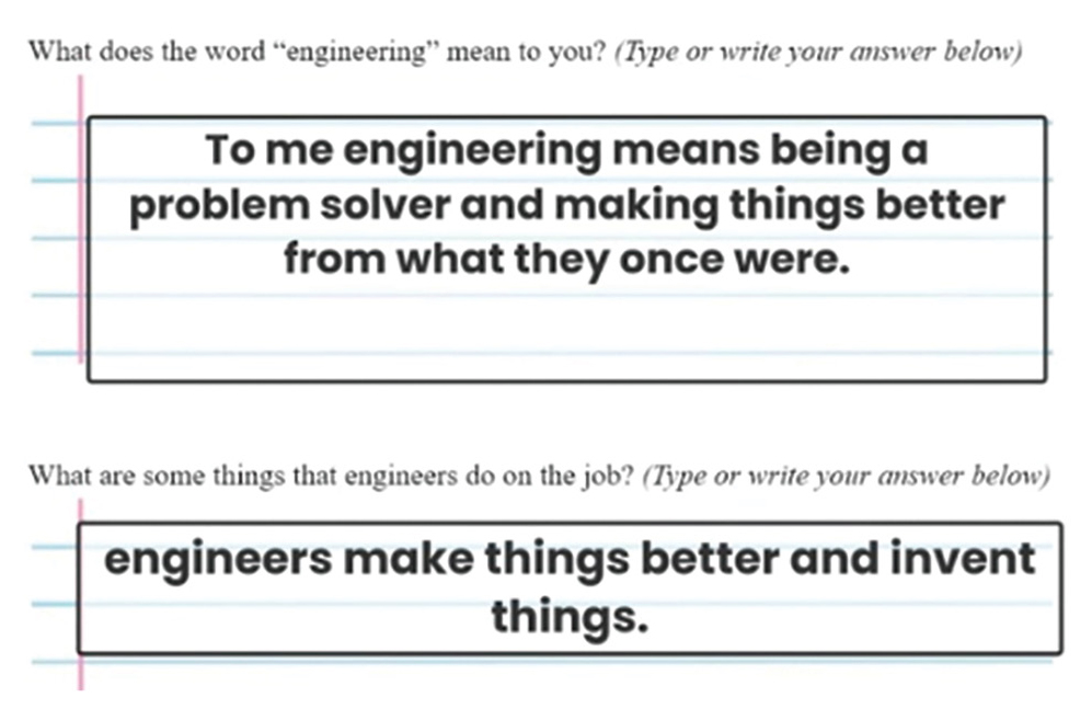 Figure 1 Example of online prompts and student responses.