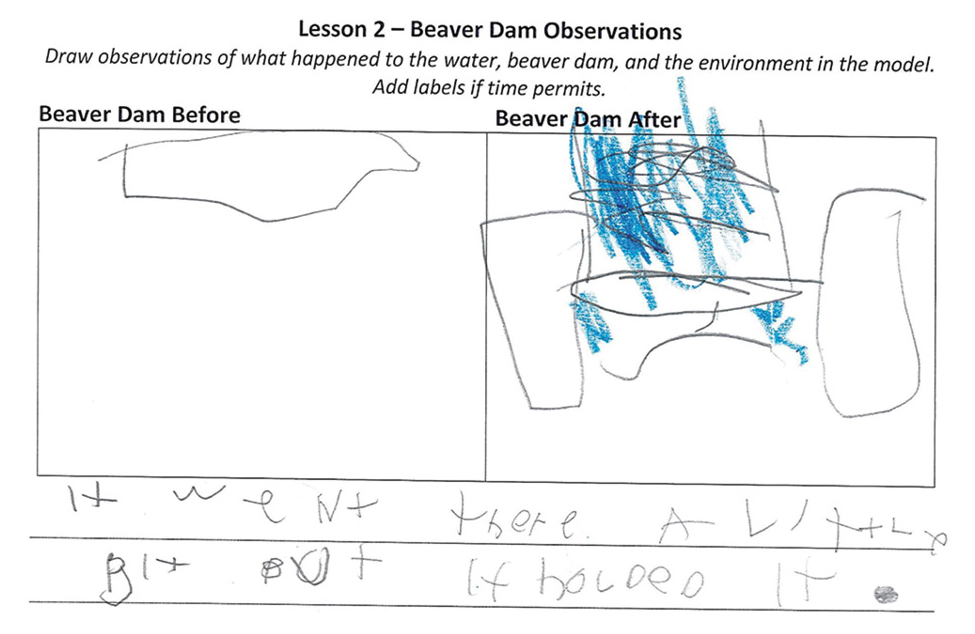 Figure 1  Student beaver dam observations sample.