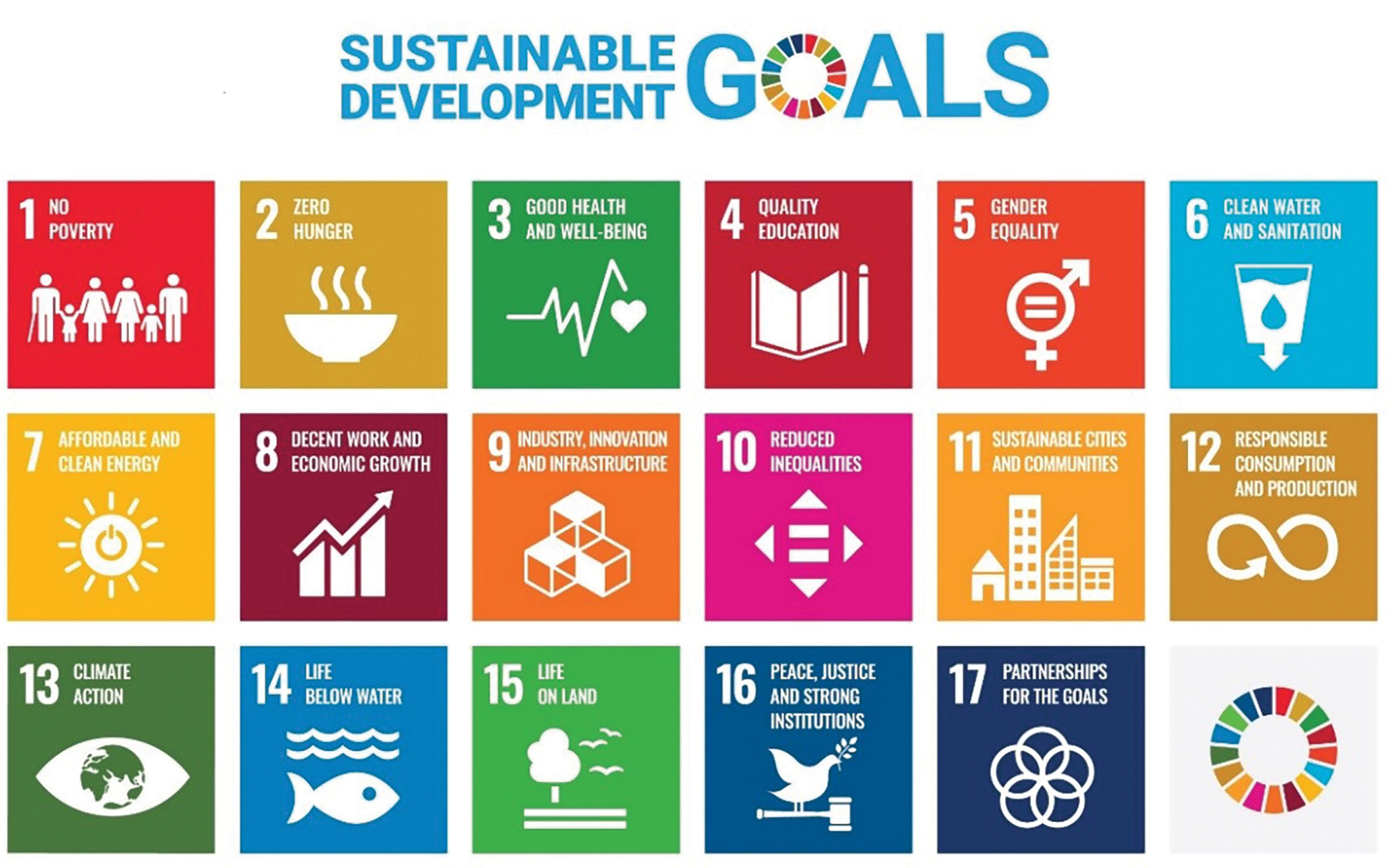 Figure 1 United Nations Sustainable Development Goals (used with permission).
