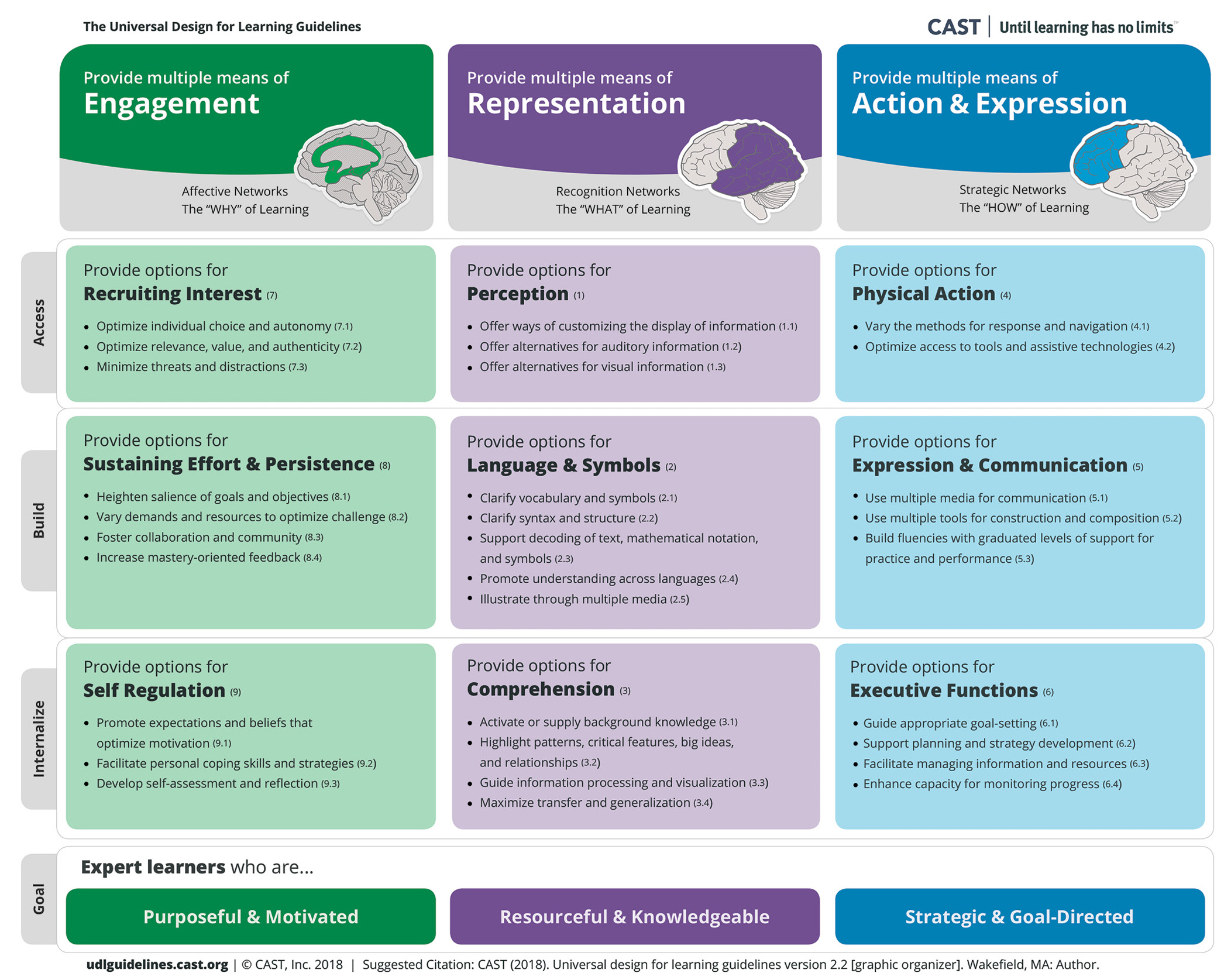 Figure 1 UDL graphic organizer.