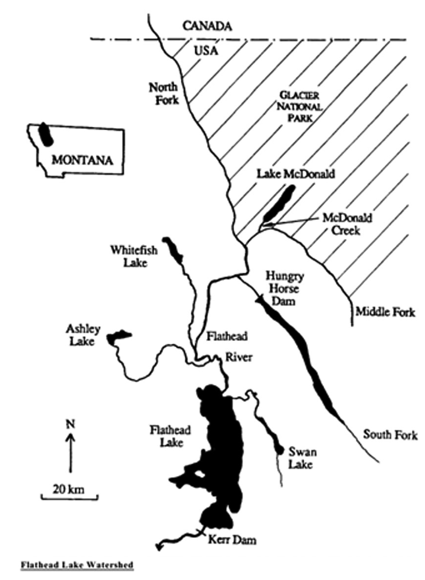 Figure 1 Map of Flathead Lake watershed (from Spencer et al. 1991).