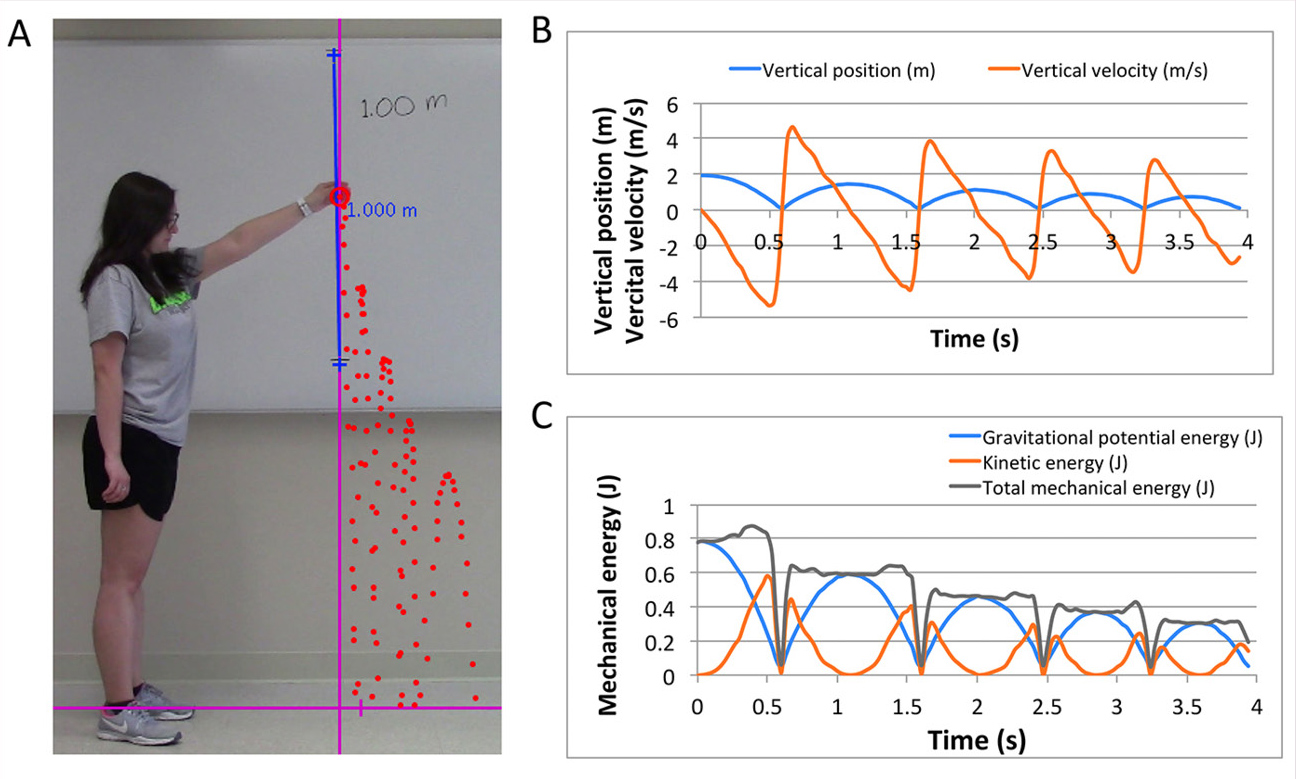 Figure 1 Case study Day 1: Video analysis of the motion of a bouncing ball.