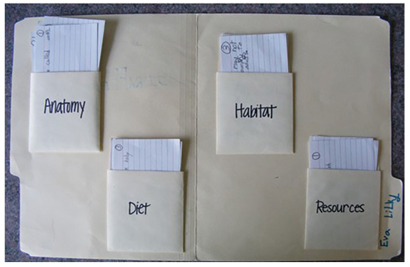 Figure 1 Library pockets are labeled and hot glued into place prior to giving to students.