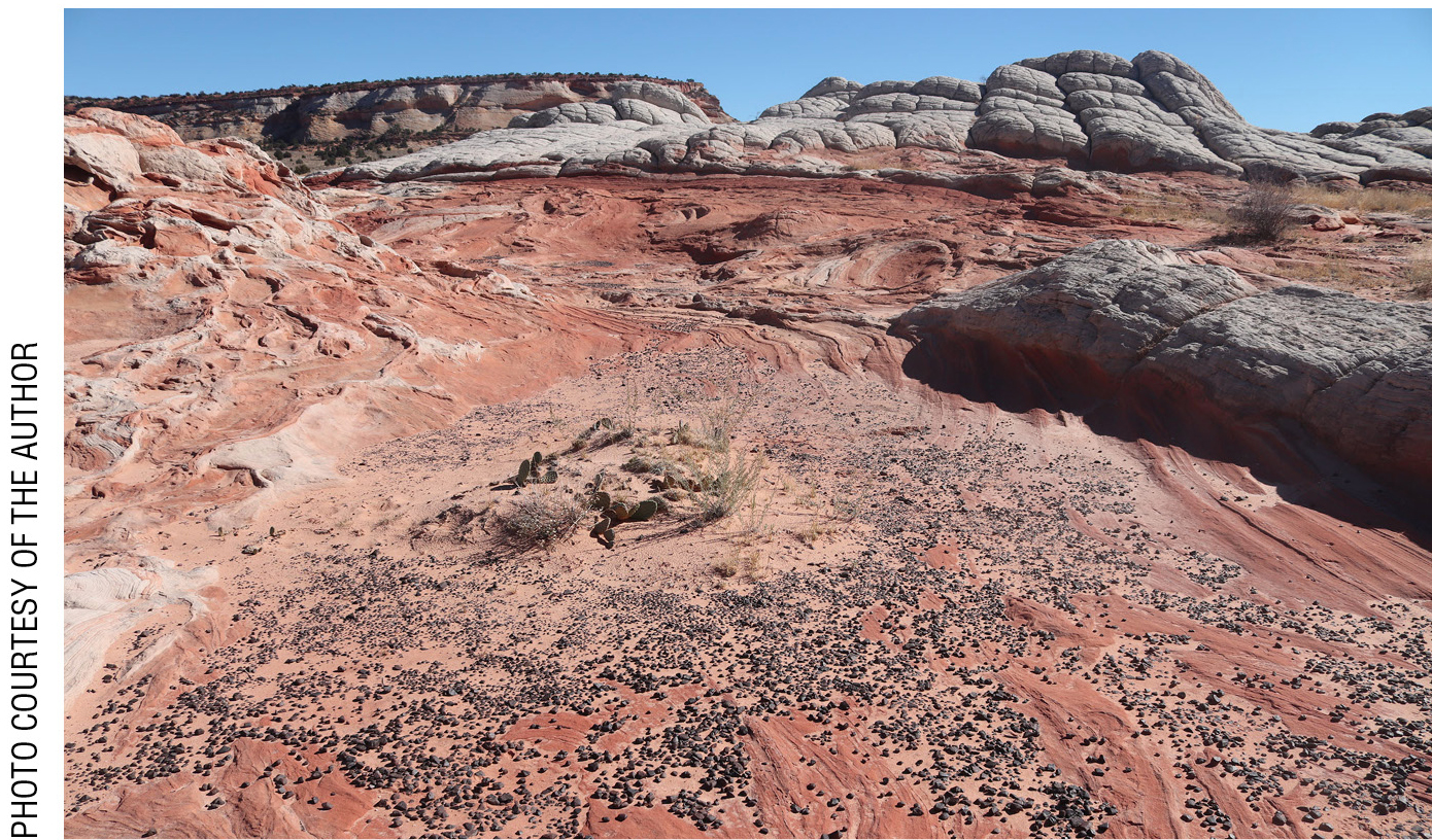  Figure 2 Earthly blueberries: “Moqui Marbles” at White Pockets Recreation Area.