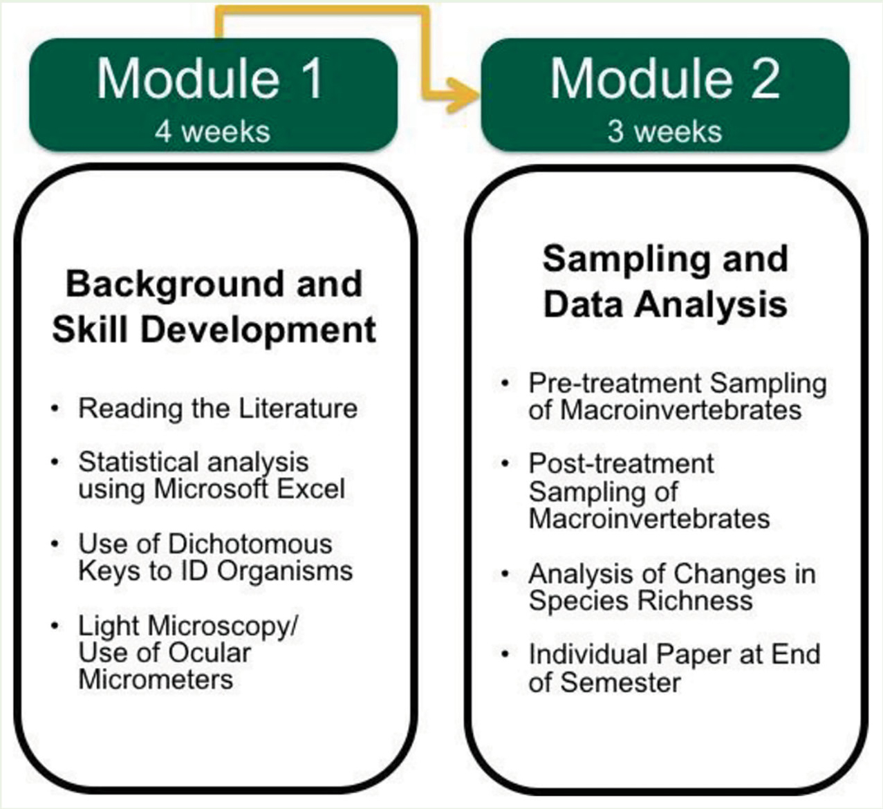 Figure 1 Overview of the BIO1 CURE lab curriculum.