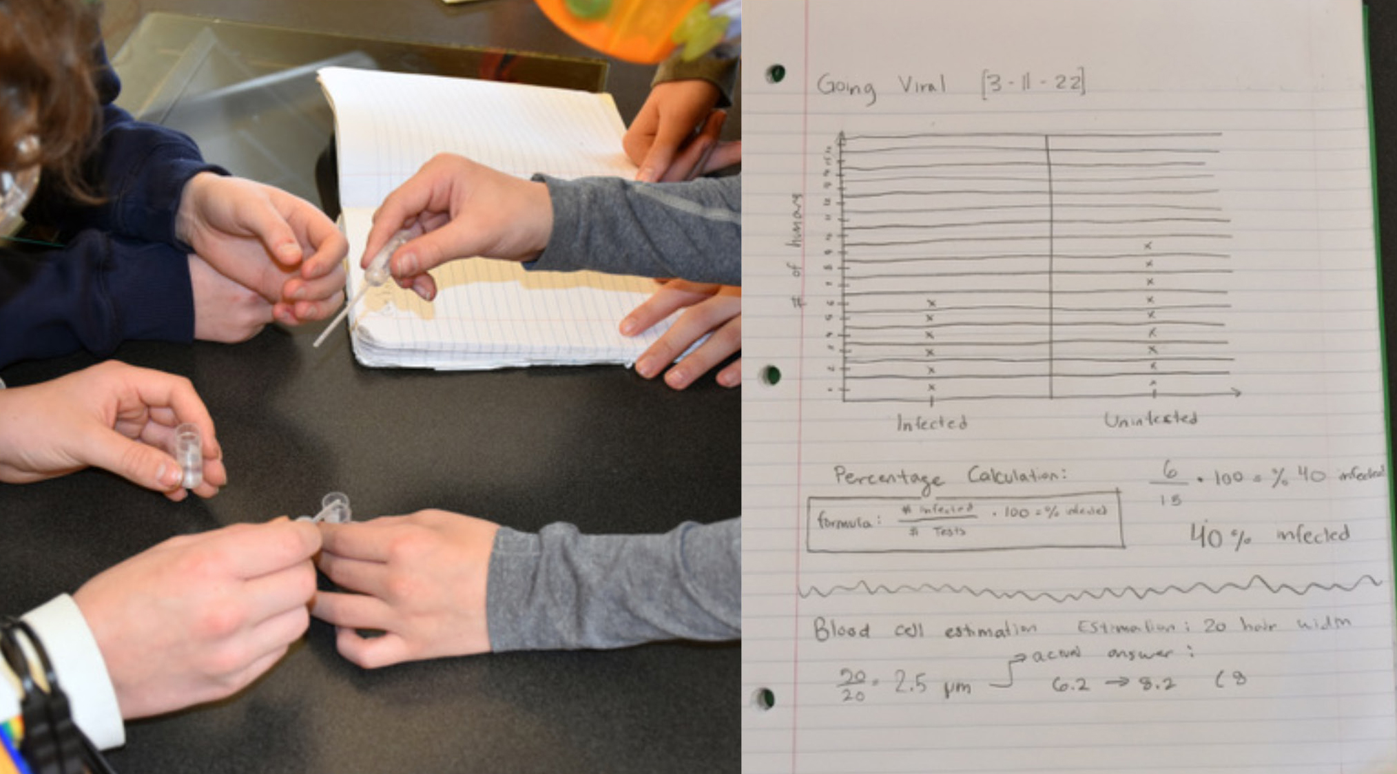 Figure 2 Students exchange their human’s “saliva” with one another. Then they draw a chart of the infected versus uninfected individuals and calculate the percentage infected.