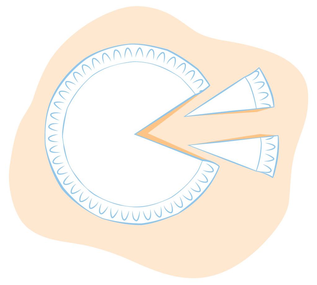 Figure 1 Cut out two wedges from a Styrofoam plate.