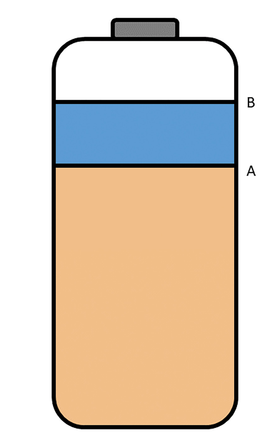|	FIGURE 1: Winogradsky column diagram. Sediment fills 2/3 of the bottle (line A), and water is added to the 5/6 mark, leaving 1/6 of the bottle for air space. The bottle is loosely sealed or covered to permit gases to escape.