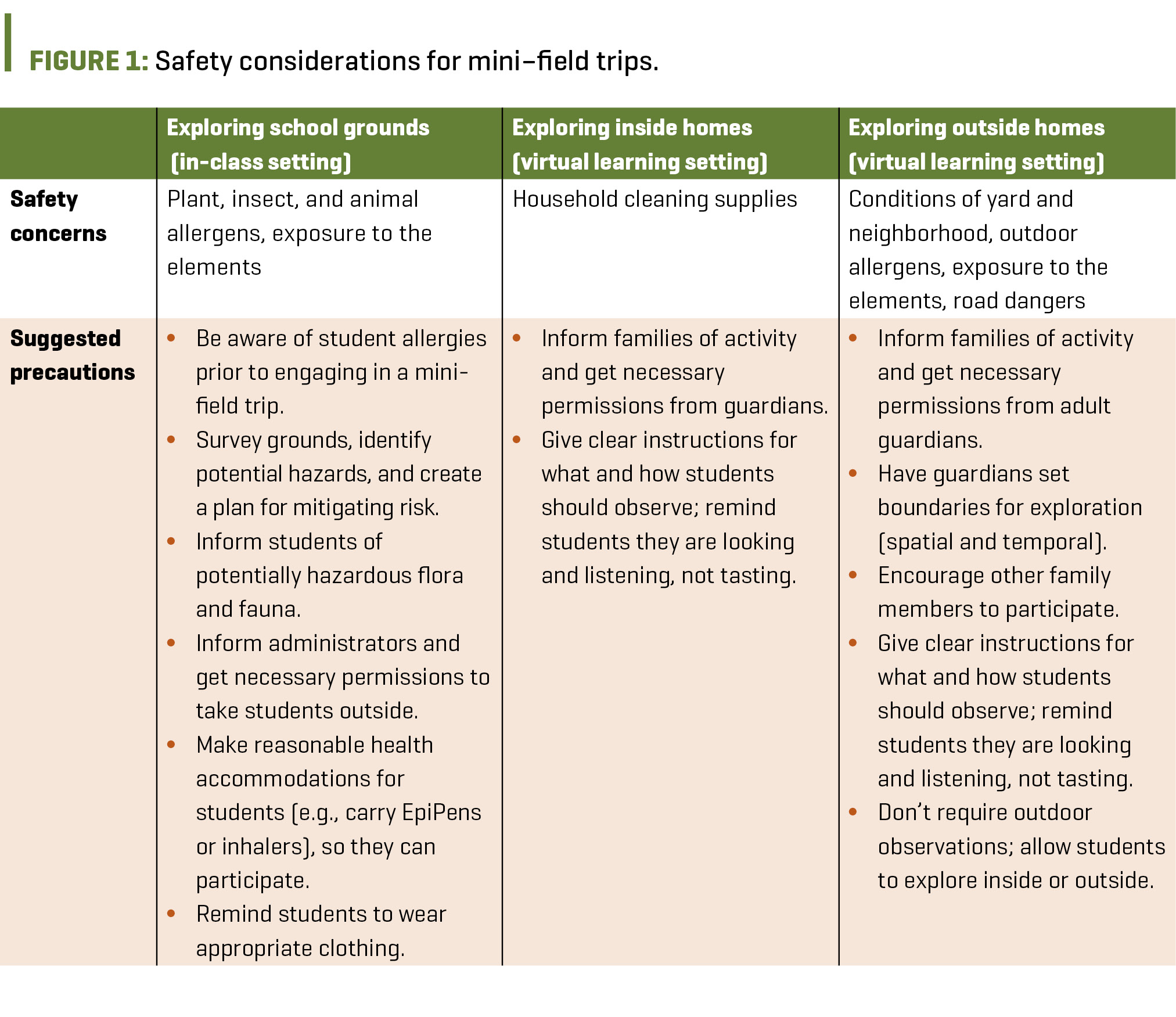 Figure 1 Safety considerations for mini–field trips.
