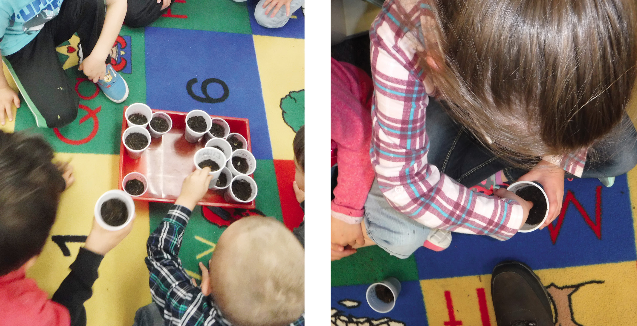 Figure 1 Lessons about plants included planting seeds.