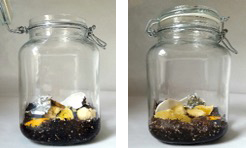 Figure 1 Physical models of landfill bottles in open and closed systems.