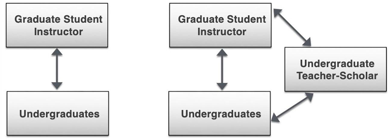 Figure 1 Traditional lab and discussion model (left). Undergraduate Teacher-Scholar Program model (right). There is a vertical community of scholars with a smaller gap in experience and label between tiers than in the traditional model. 