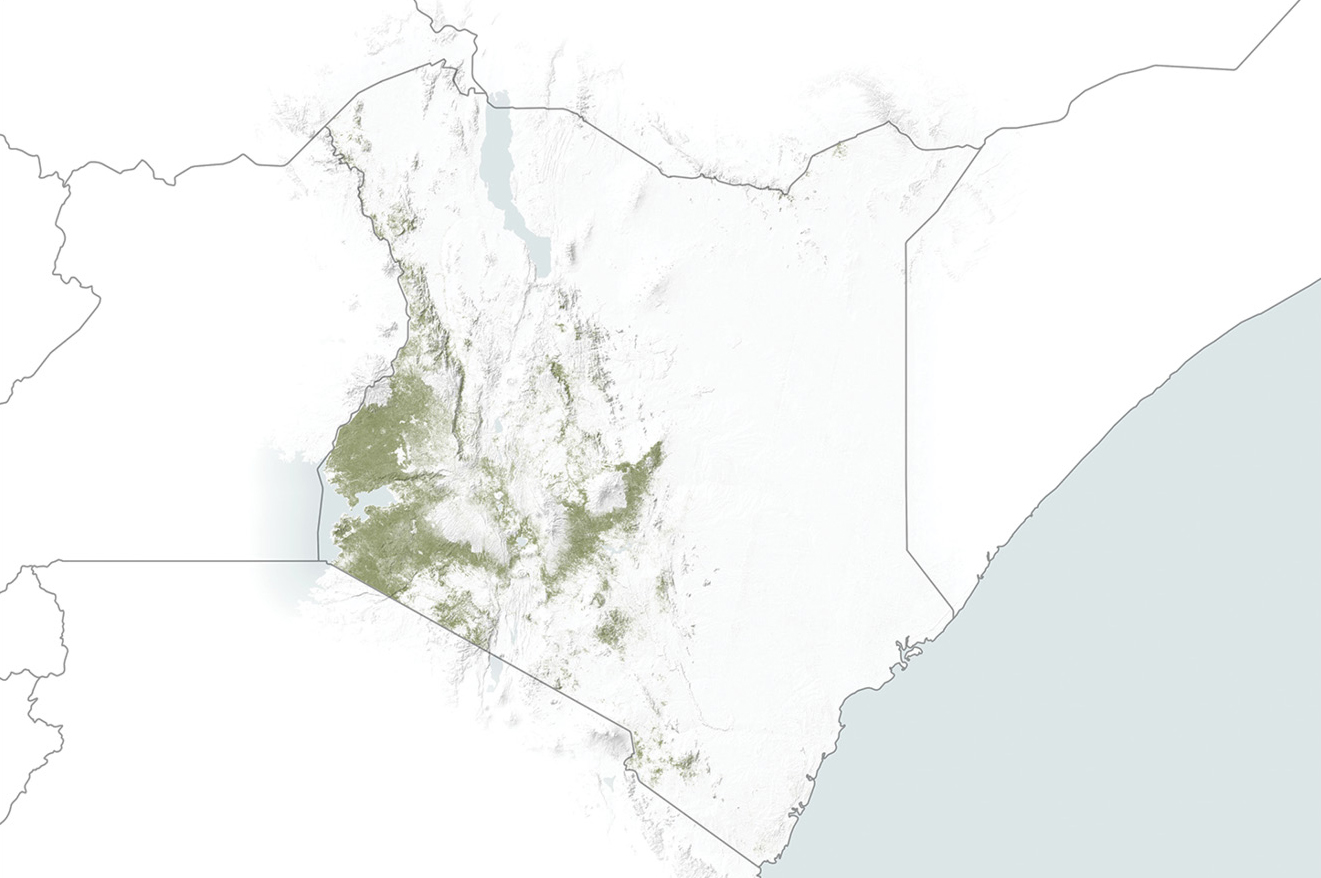 Figure 1 Data from Europe’s Sentinel-2 satellite to show where crops were growing in Kenya during 2019. 
