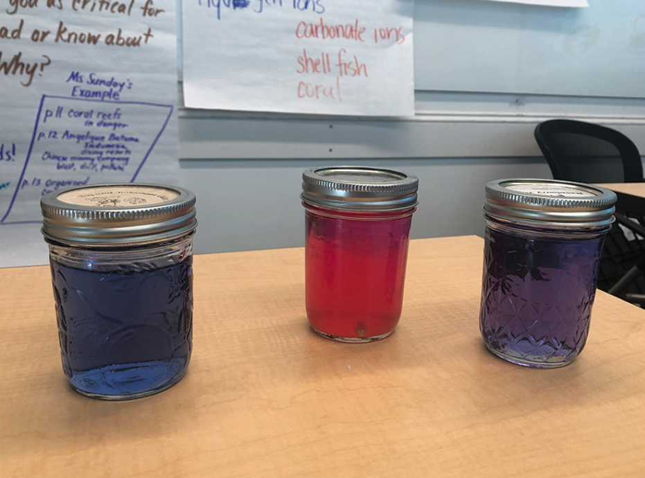 Figure 2 Cabbage water in jars.