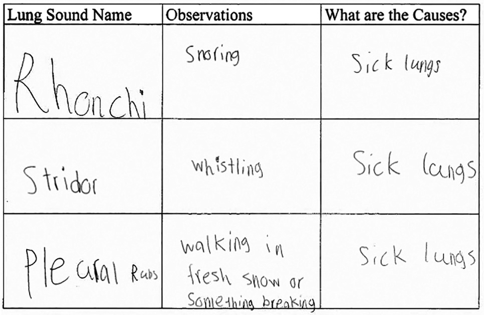Figure 2 Student work sample of the lung sound worksheet.
