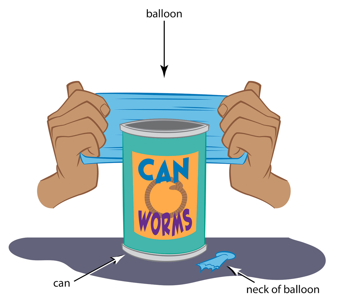 Figure 1 After cutting off the knot, stretch the balloon over a jar or can.