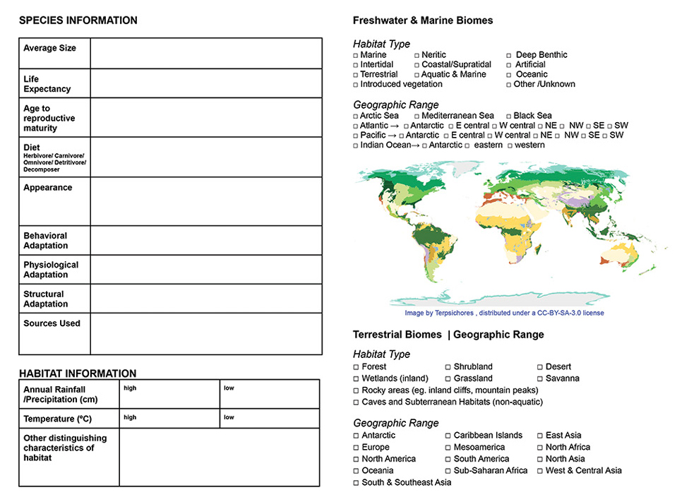 Figure 2 Handout B. Students use trends of Anthropogenic effects to show cause-and-effect relationships between the environment and the species regarding evolutionary pressures. Students use sketches and words to illustrate their understanding of evolution by applying these evolutionary pressures to drive speciation events in a hypothetical future over 1 million year increments.