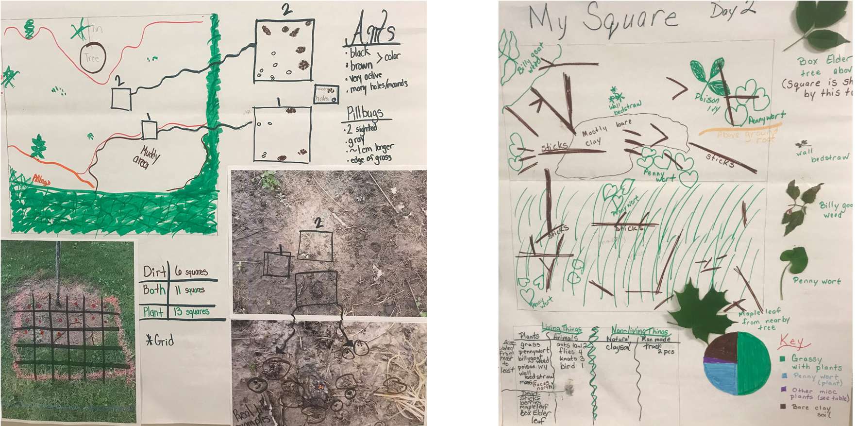 Figure 2 Examples of different representation forms teachers used to show what was in their ecosystem.