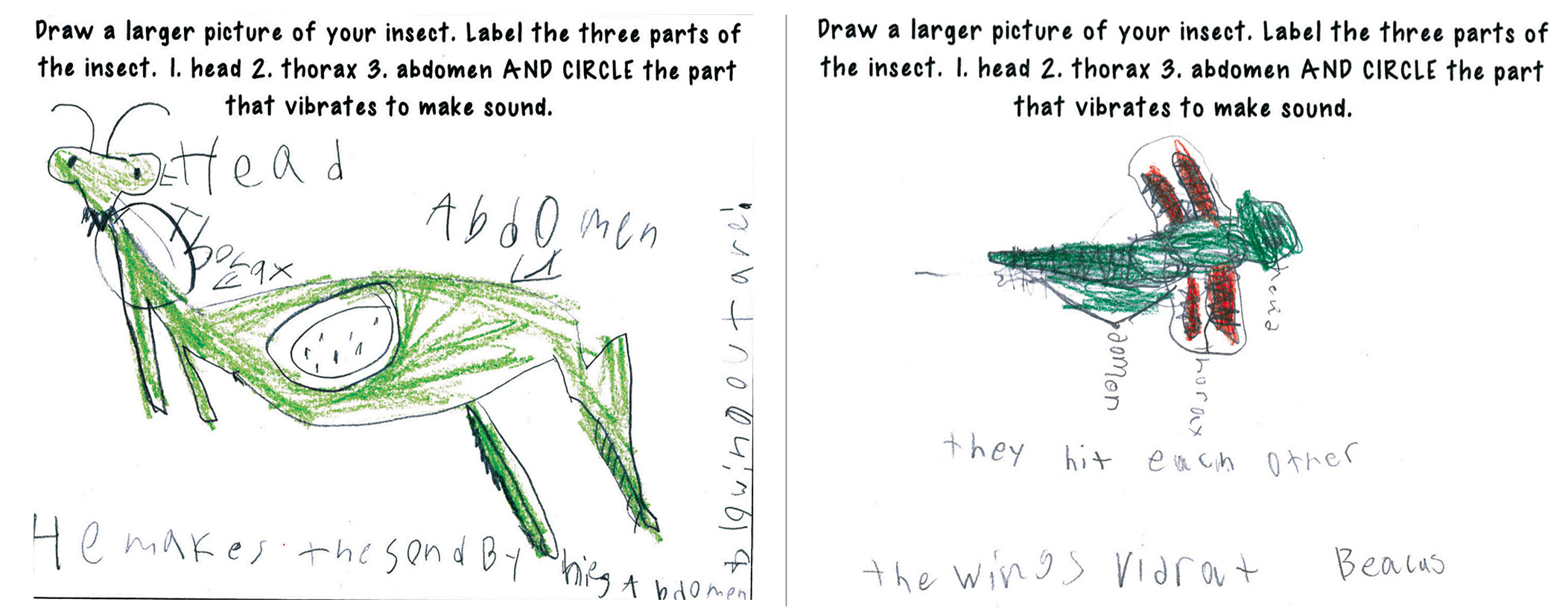 Figure 3 Student drawings.