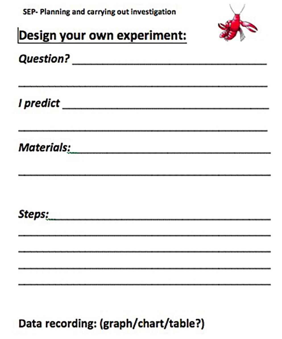 Figure 2 Design your own experiment form.