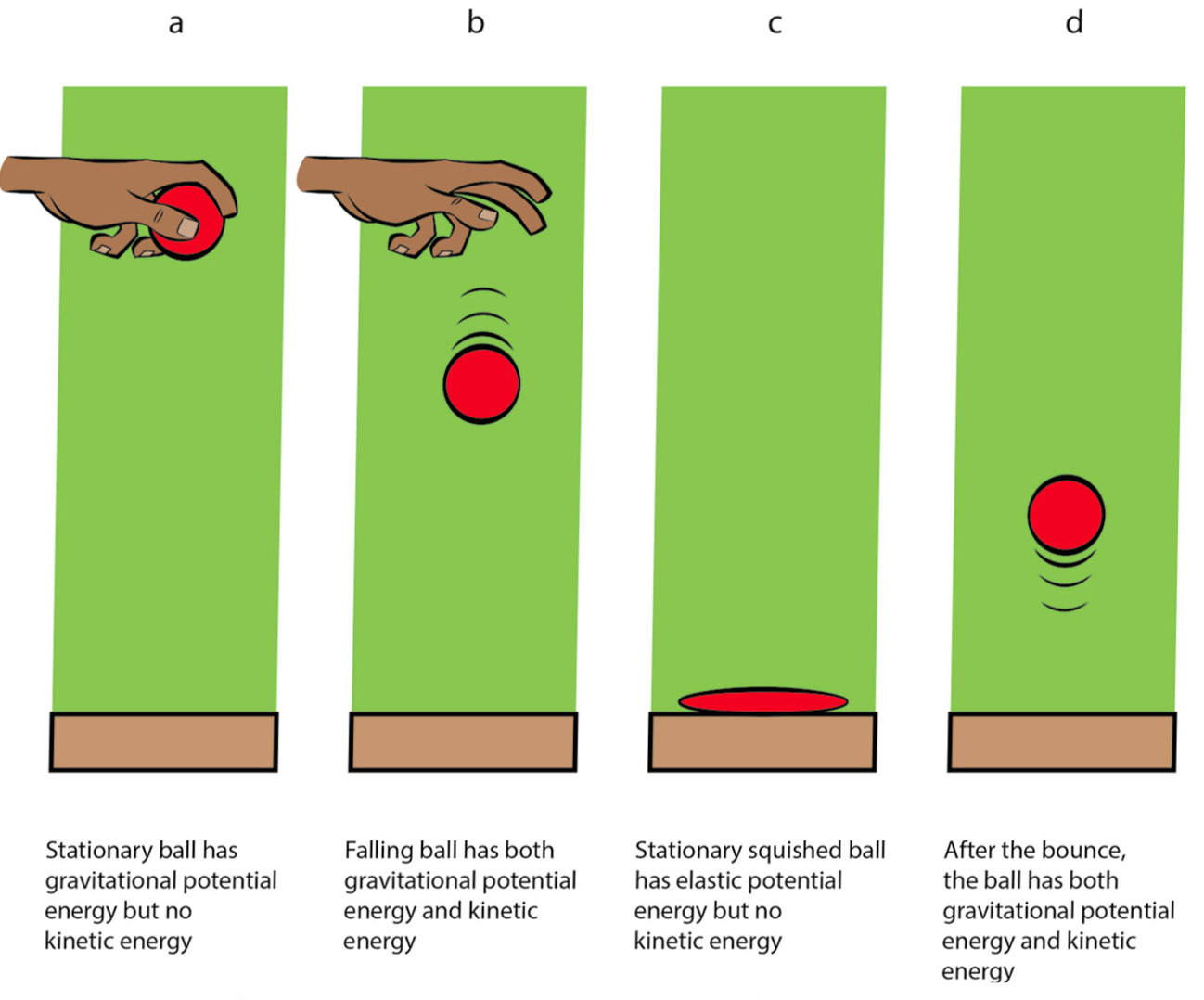 Figure 2 Energy transformations when a ball is (a) first released, (b) falling, (c) hitting the floor and getting compressed, and (d) rising after the bounce.