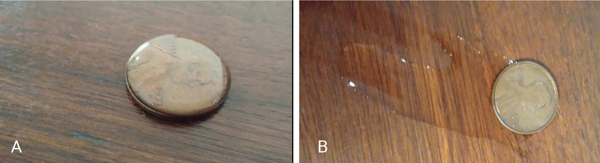 Figure 3  Example from surface tension experiment. (A) Example of a penny holding several drops of liquid in a “bubble”; (B) the coin after enough drops have been added to break the surface tension of the “bubble” of liquid.