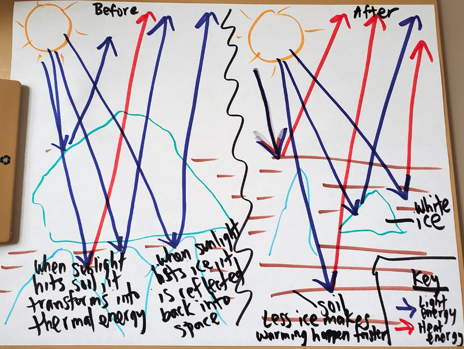  Figure 3  Example of an initial student model of the phenomenon.