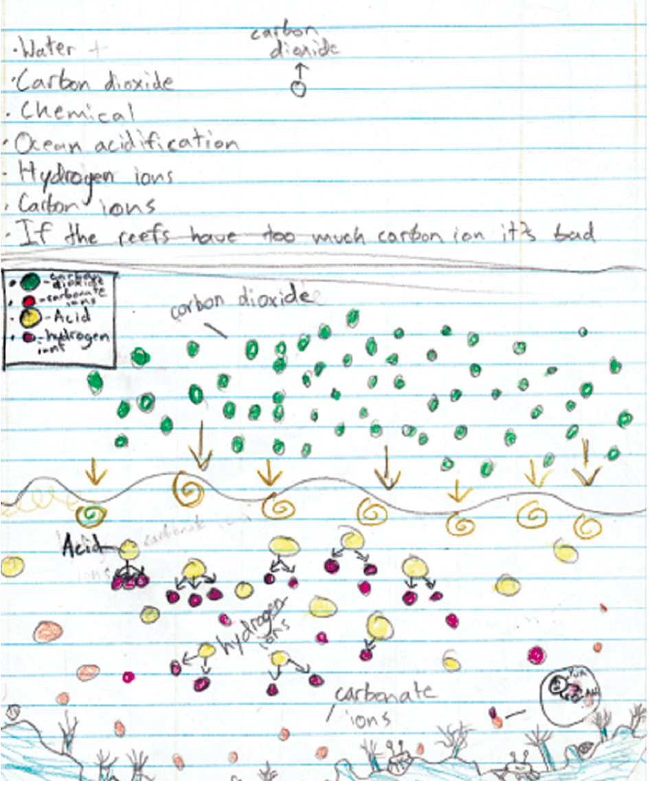 Figure 3 Student-friendly ocean acidification diagrams.