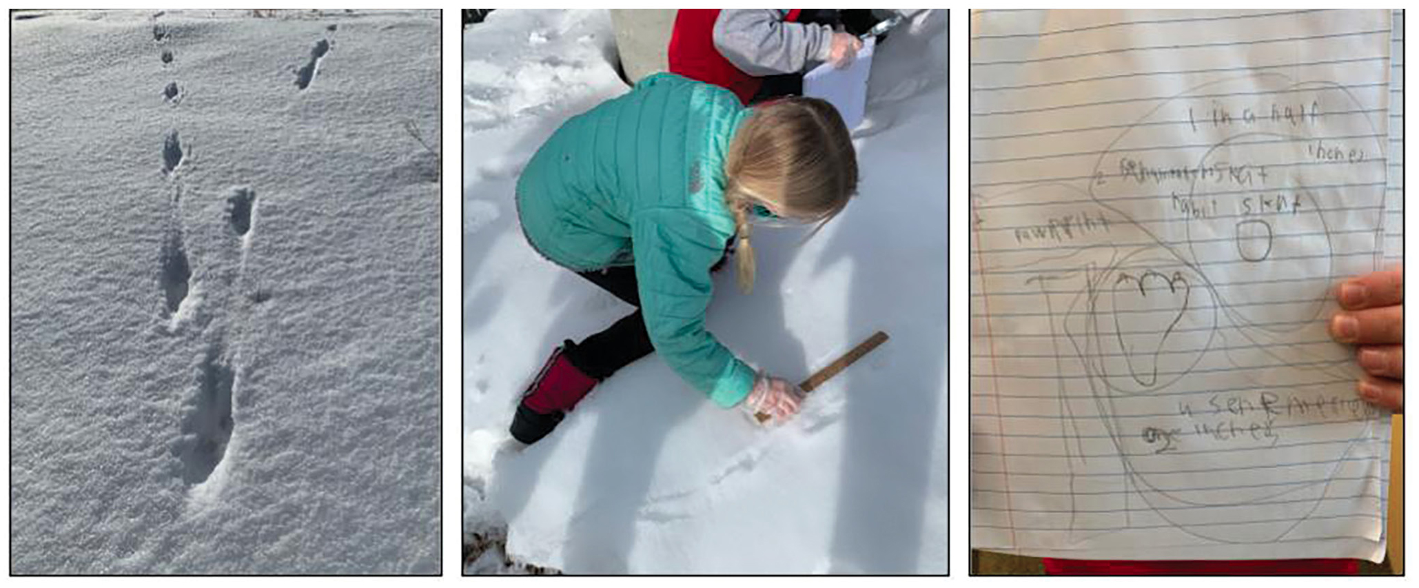 Figure 3 “Tracks in the snow” phenomenon.