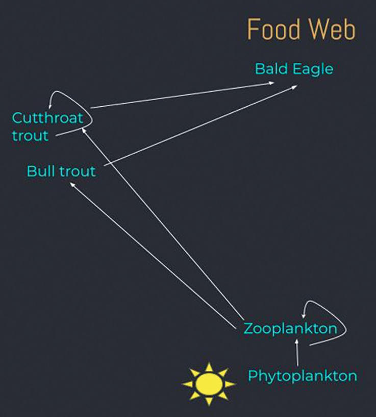 Figure 3 Example food web that shows organisms in the food web prior to the introduction of new organisms.