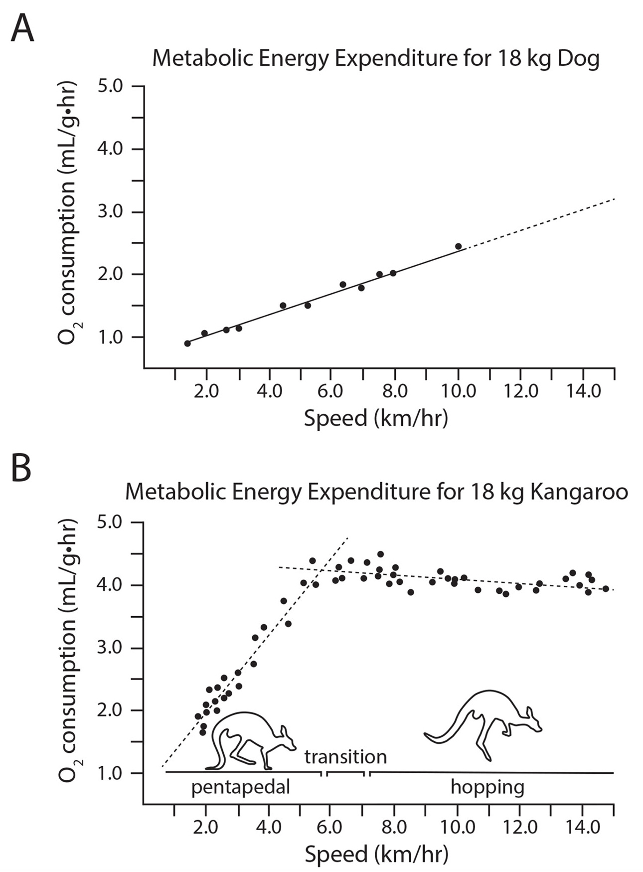 Figure 3  Case study Day 3: Analysis of metabolic energy expenditure.