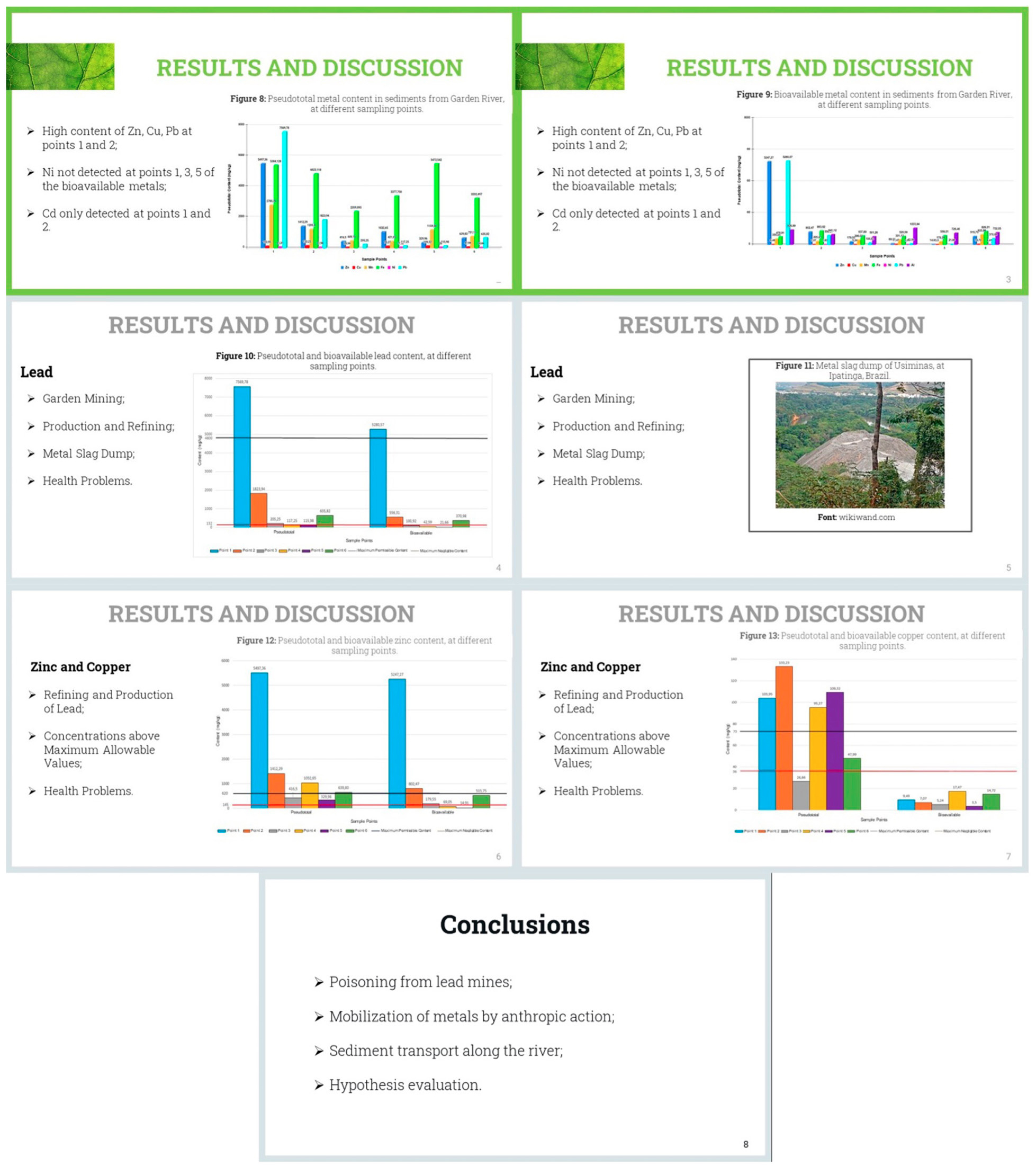 Figure 3 Slides used in the Results and Discussion and Conclusions sections from Group 4’s oral presentation.