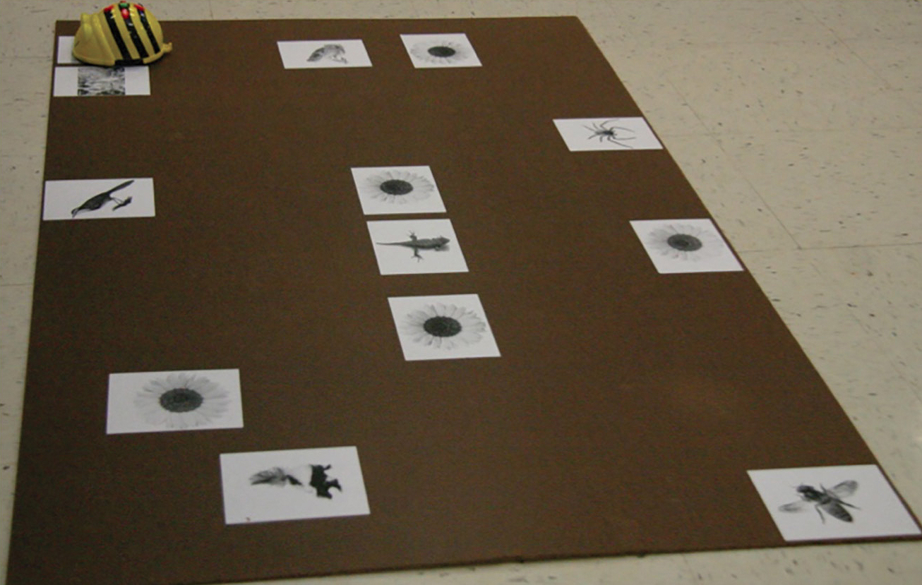 Figure 3 Game board.