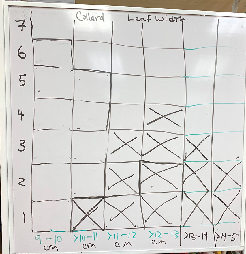 Figure 4 Collard histogram.