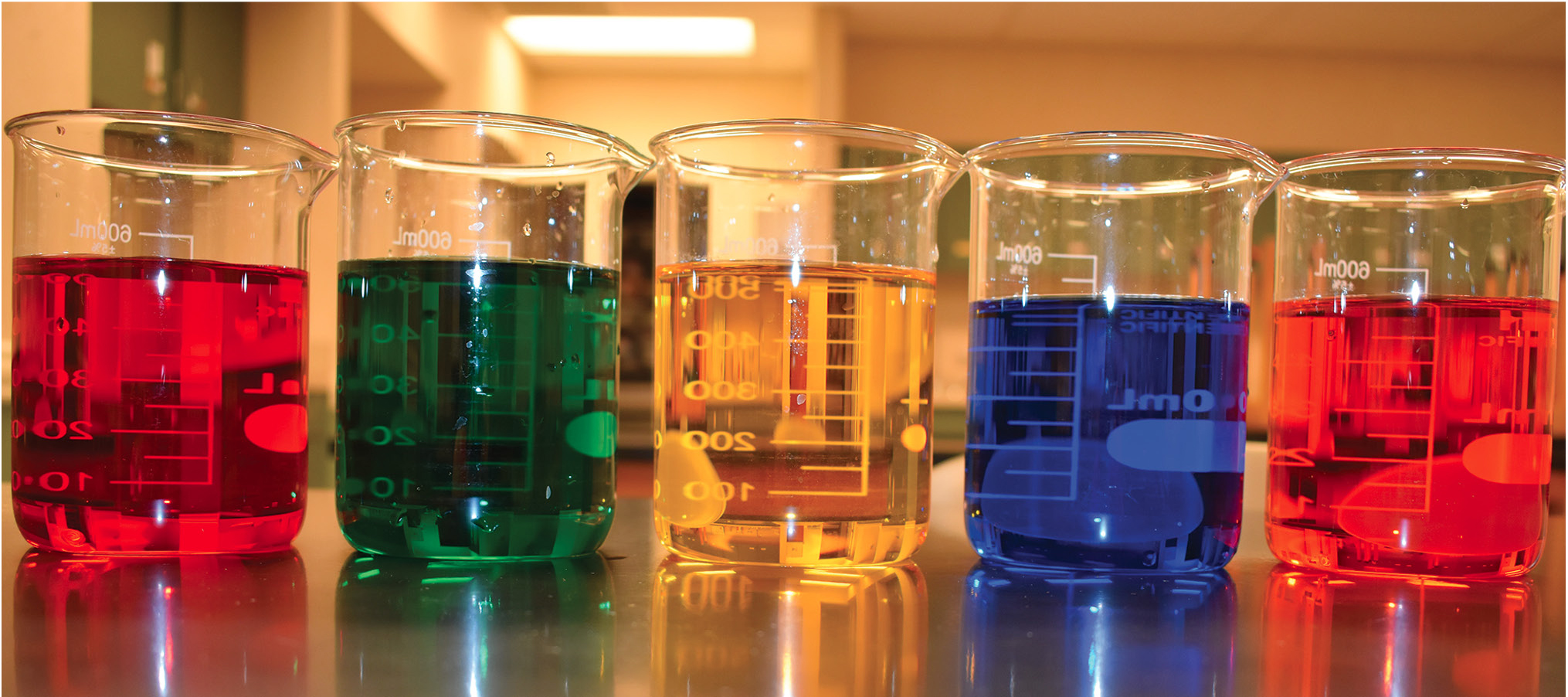 |	FIGURE 3: Beakers full of colored water to represent Yellowstone’s hot spring water samples. 