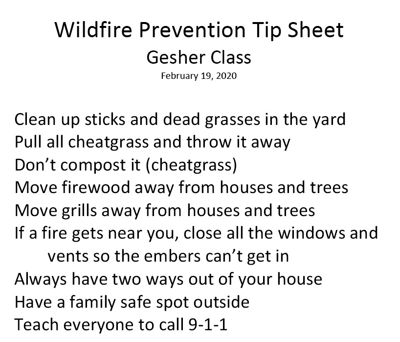 Figure 4 Wildfire tip sheet.