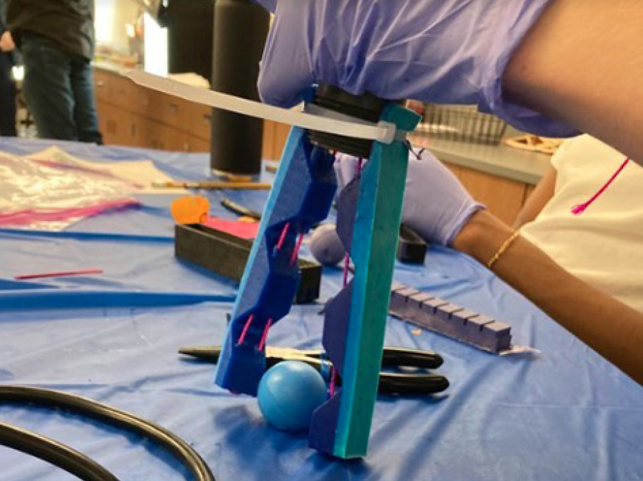 Figure 4 A student attempting to pick up a bouncy ball with the clawlike gripper made from two SDM actuators.