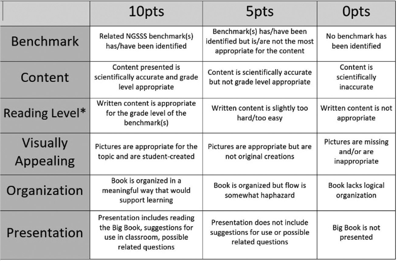 Figure 4 Big Book assignment rubric.