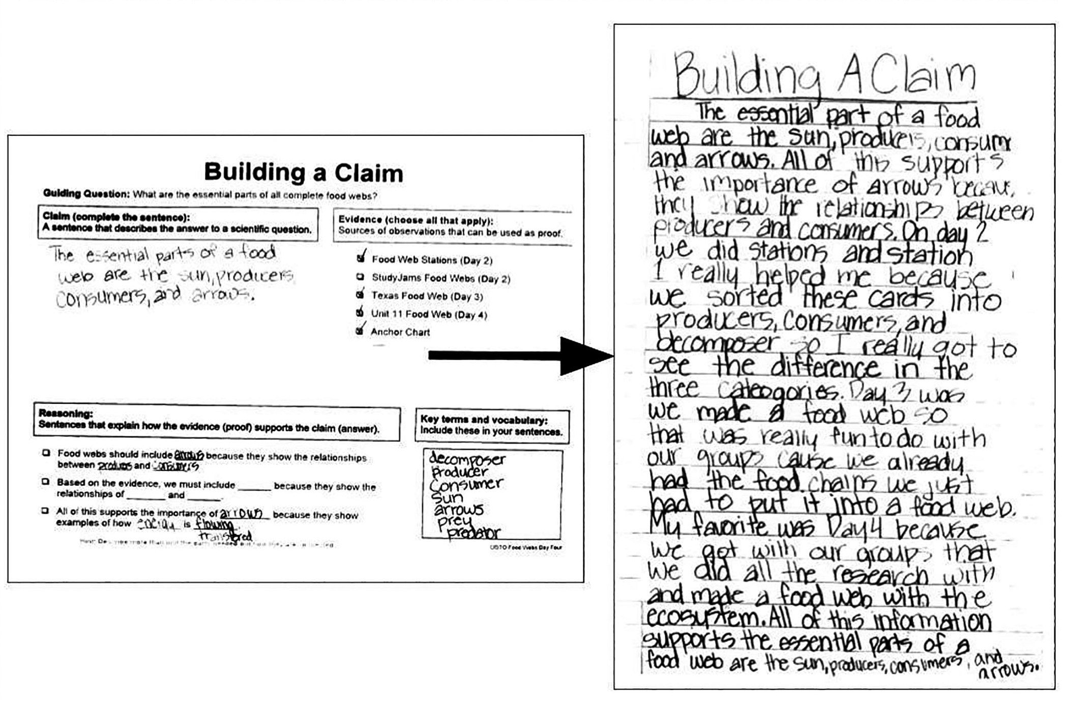 Figure 4  Completed student sample of SSE handout and paired scientific explanation.