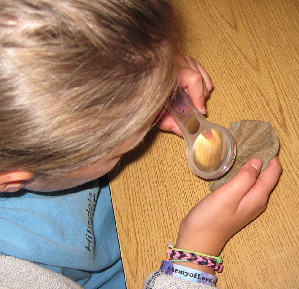 Figure 3 Student checking out the fossil collection.