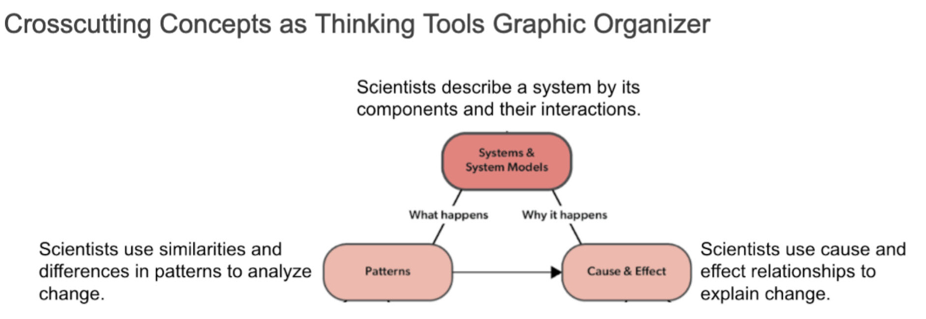 Figure 4  Graphic organizer.