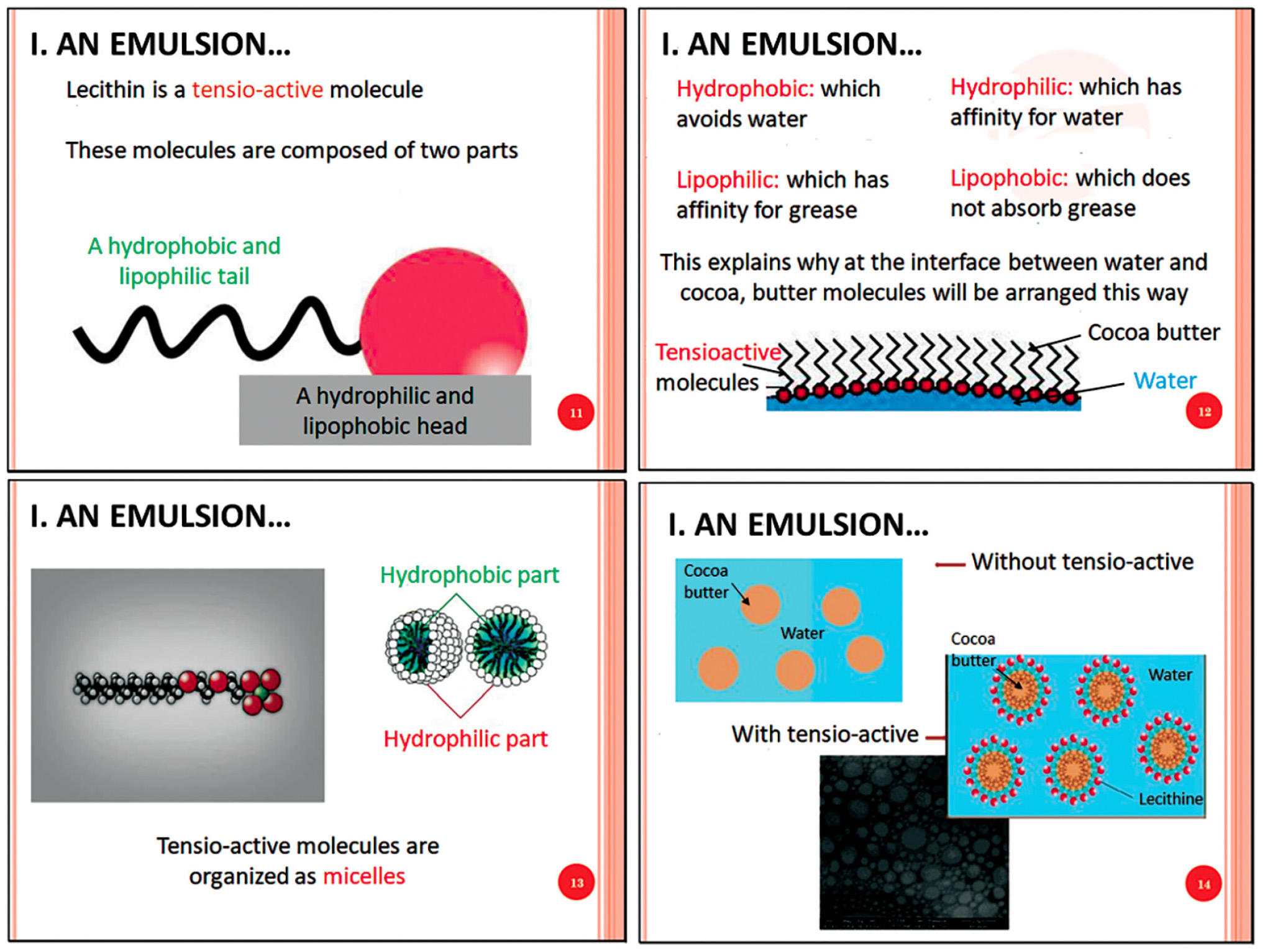 Slides corresponding to the tensio-active molecule concept presentation. Slides were translated from French to English.