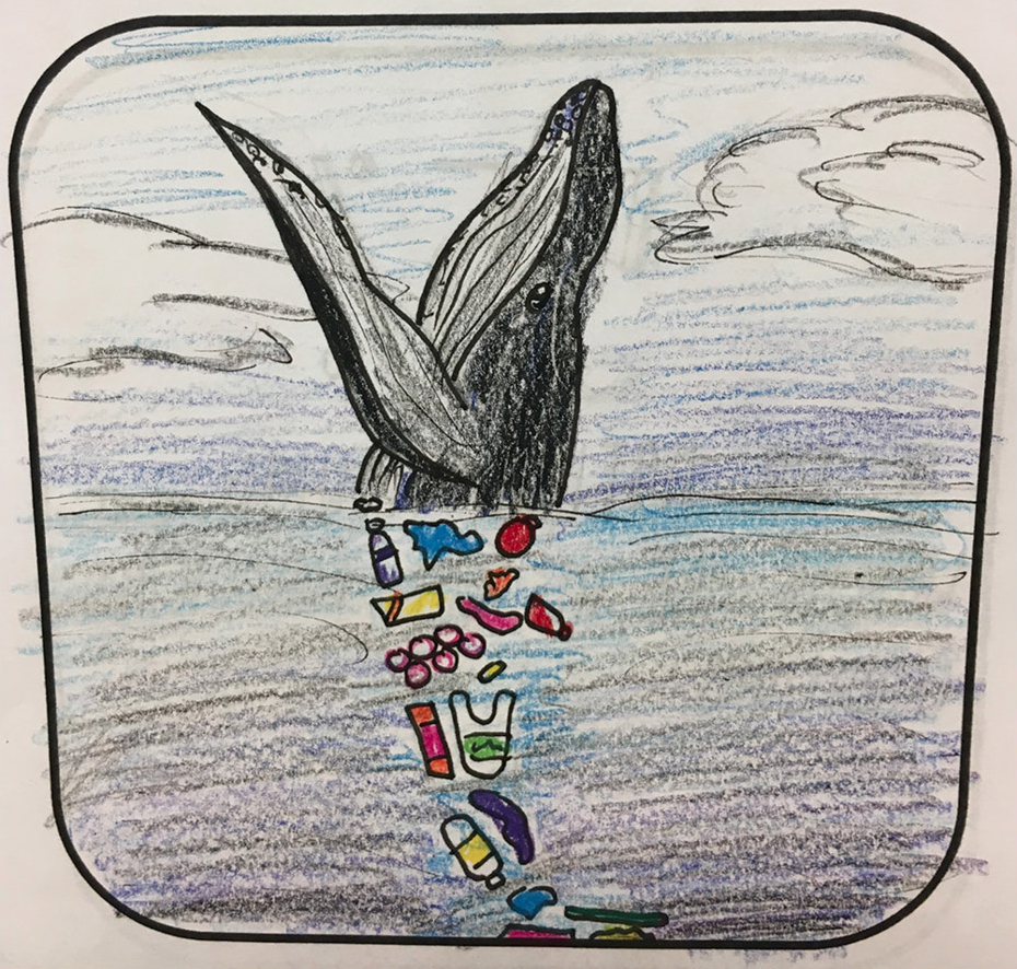 Figure 6 Winning coaster designed by a ninth- grade student. As part of the action project, coasters were manufactured using the NOAA grant and made available to patrons at a local restaurant in the community.