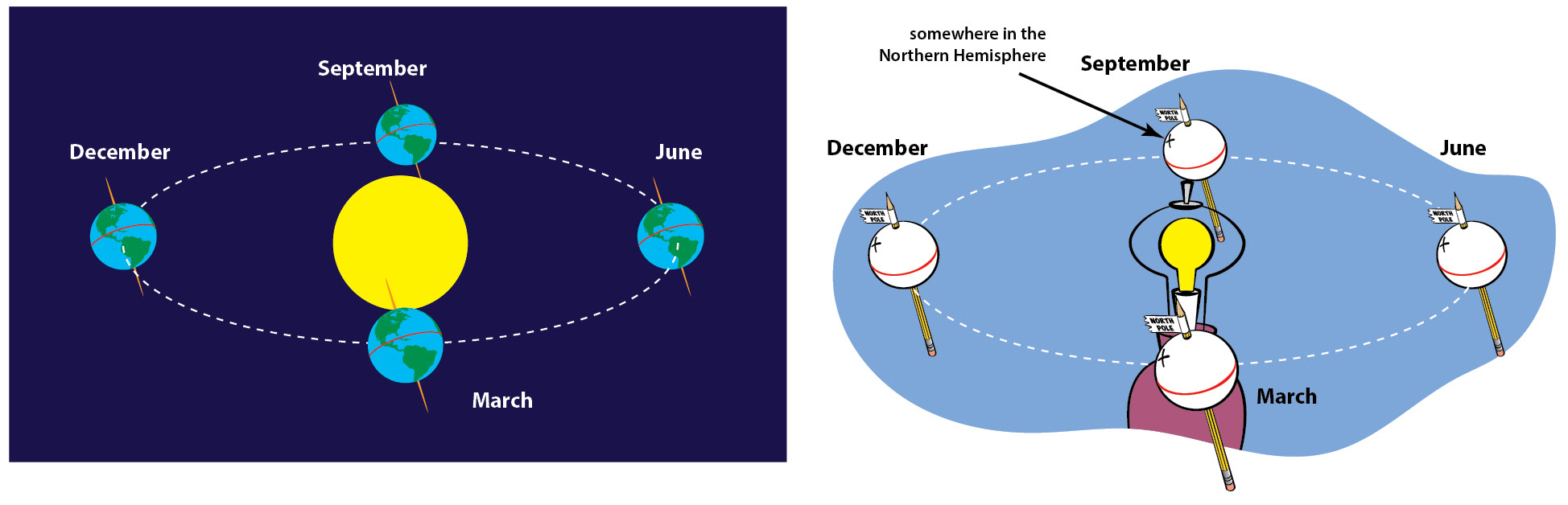 Figure 5 Earth maintains a constant 23.5° tilt as it revolves around the Sun. This can be shown (a) in a diagram or (b) by moving an “Earth ball” around a light bulb representing the Sun. 