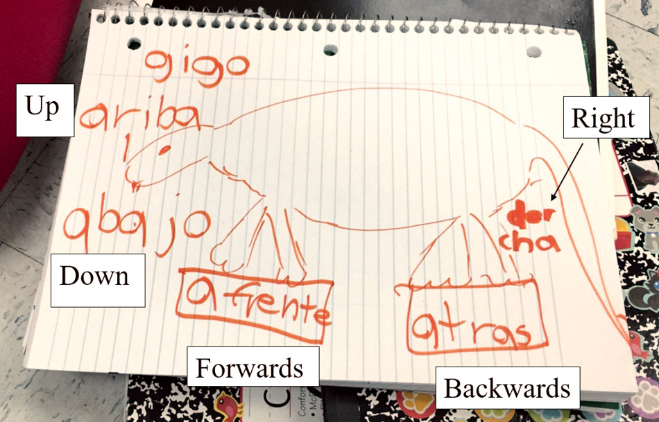 Figure 7 A student connects new vocabulary to a past experience with dinosaurs.