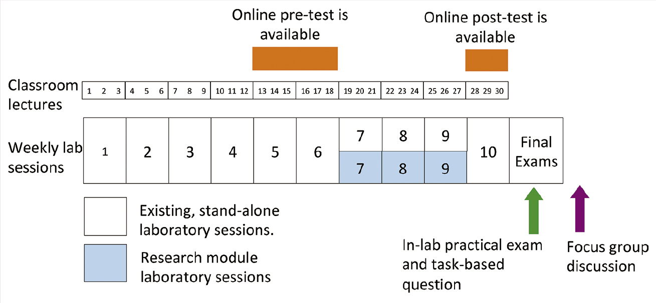 Overview of the Biology 205 course, the research module, and the assessments that were used in this study. Small boxes represent each 80-minute class session and large boxes represent the weekly 170-minute lab sessions. The research module ran during Week