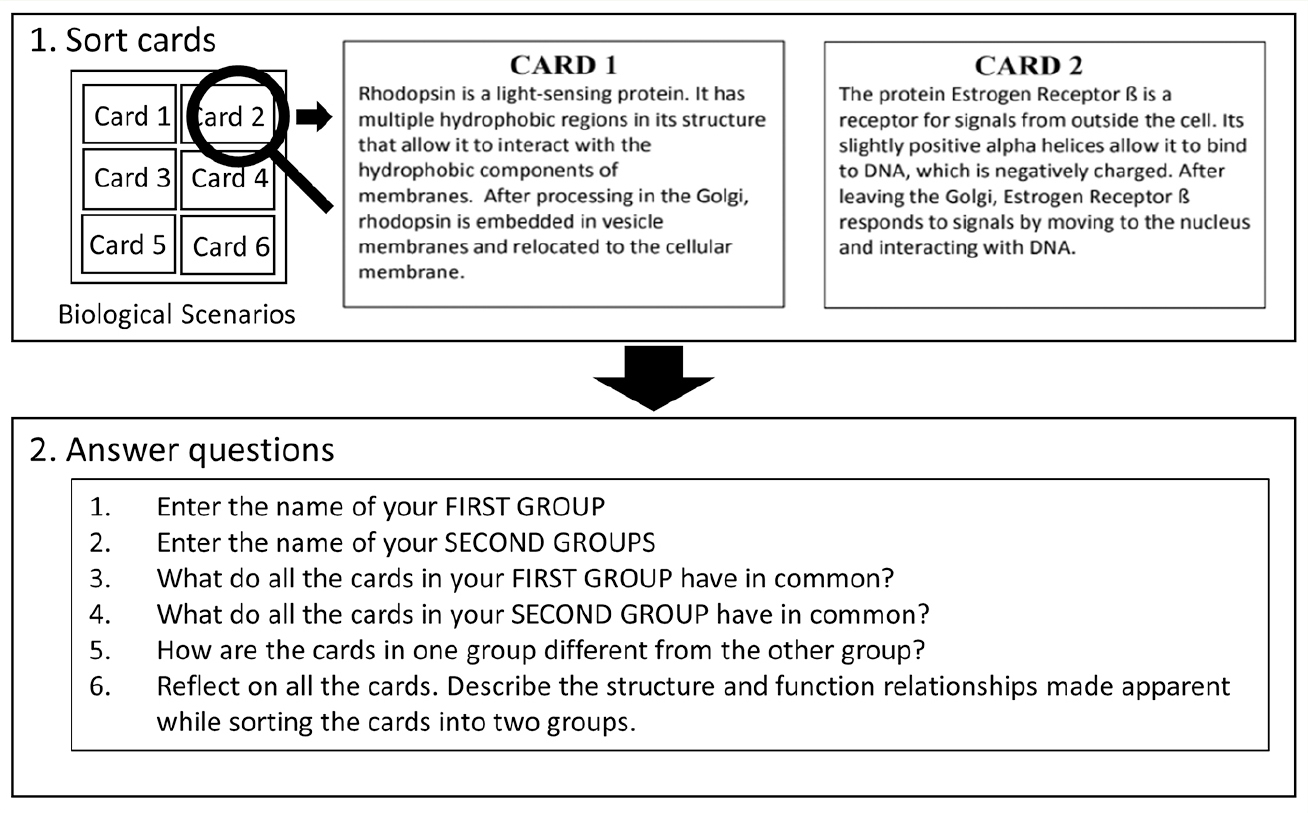 Students sorted the six cards into two categories and then answered questions about their reasoning.